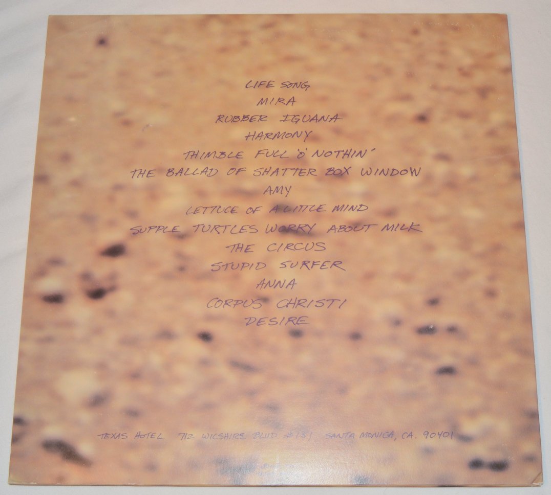 Used vinyl record titled 'Baby Flamehead - Life Sandwich' with a picture of a person walking down a road on the cover.