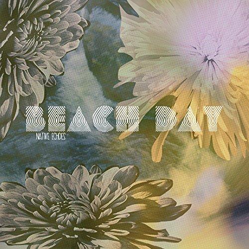Beach Day - Native Echoes