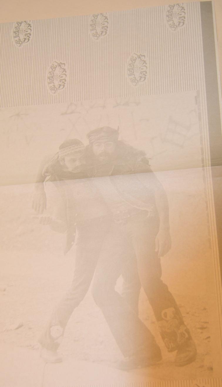 Cheech & Chong - Big Bambu