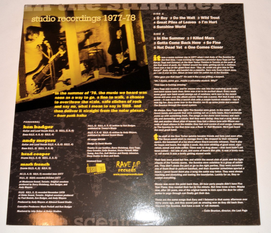 Scenics, The - In The Summer (Studio Recordings 1977-1978)