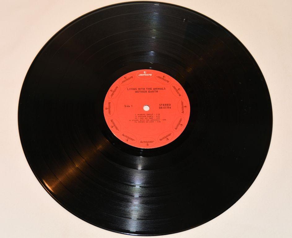 Mother Earth - Living With The Animals