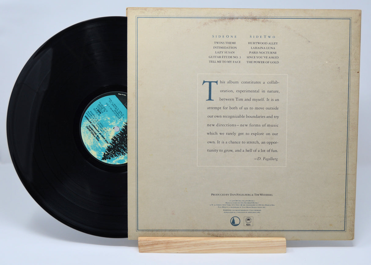 Fogelberg, Dan - Twin Sons