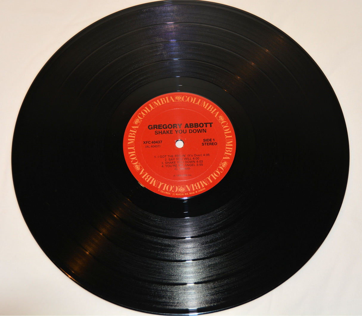 Abbott, Gregory - Shake You Down