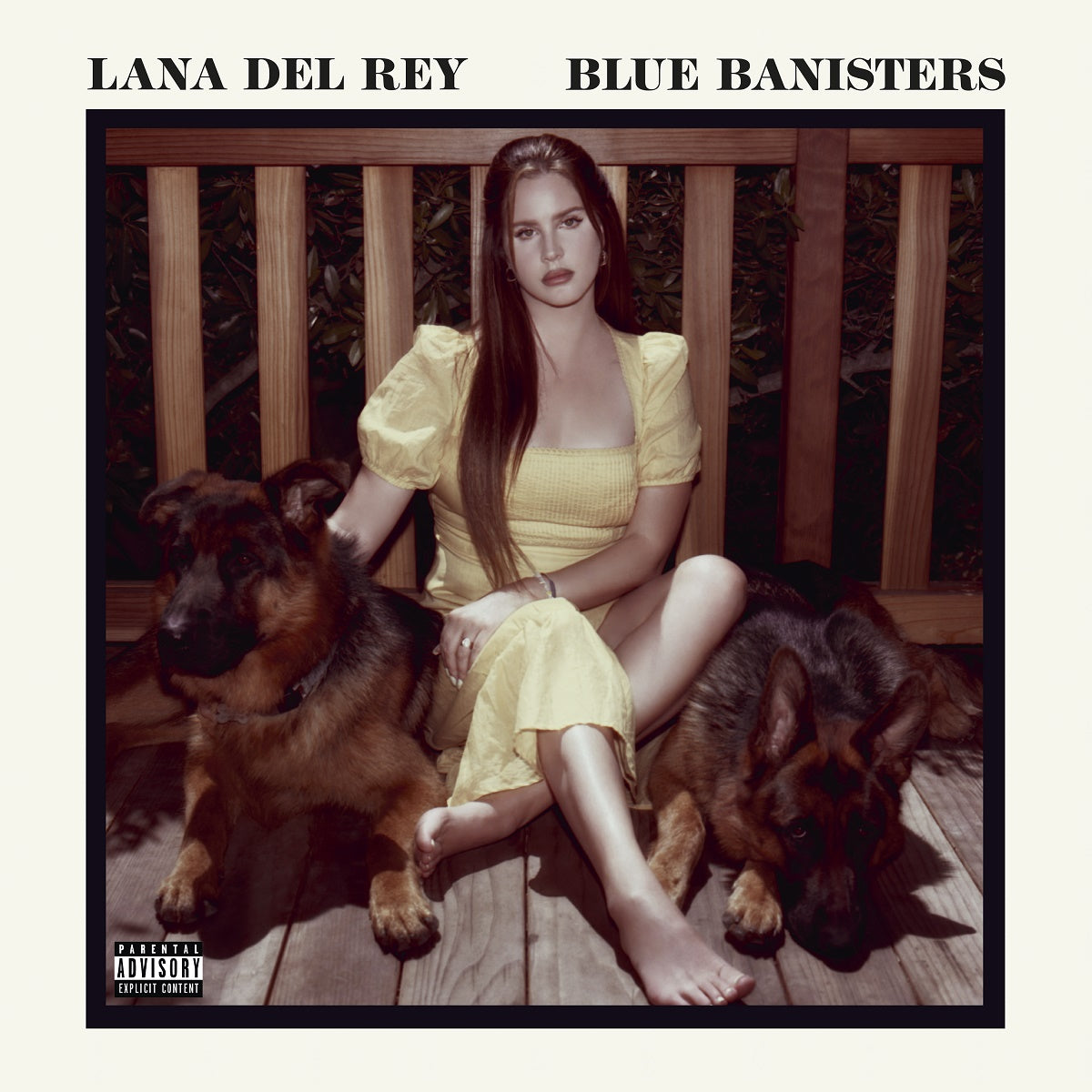 Lana Del Rey sitting on a bench with two dogs, wearing a yellow dress, with the album title 'Blue Banisters' printed above.