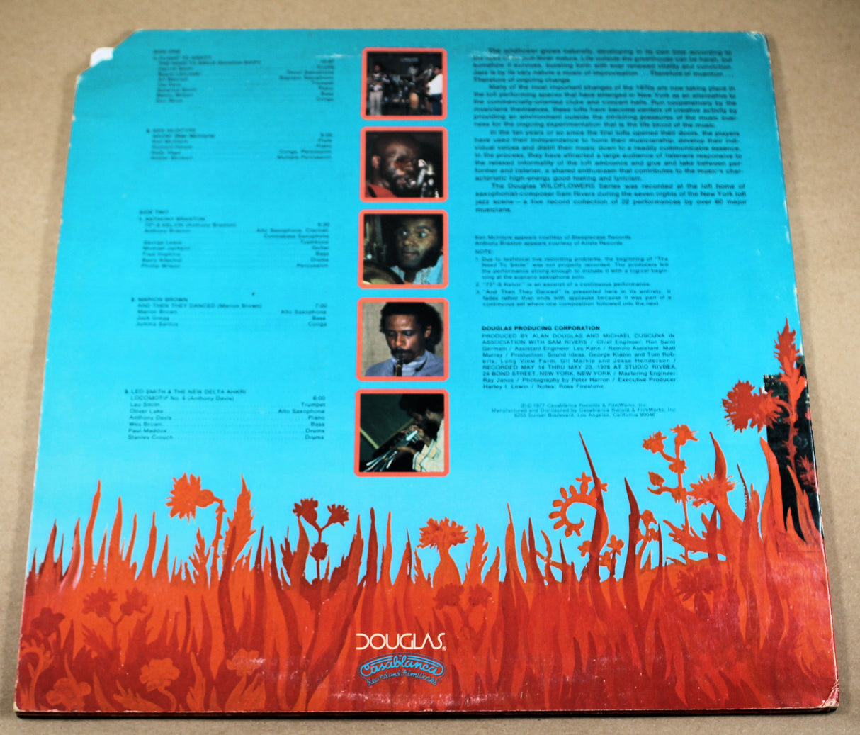 Various - Wildflowers 2