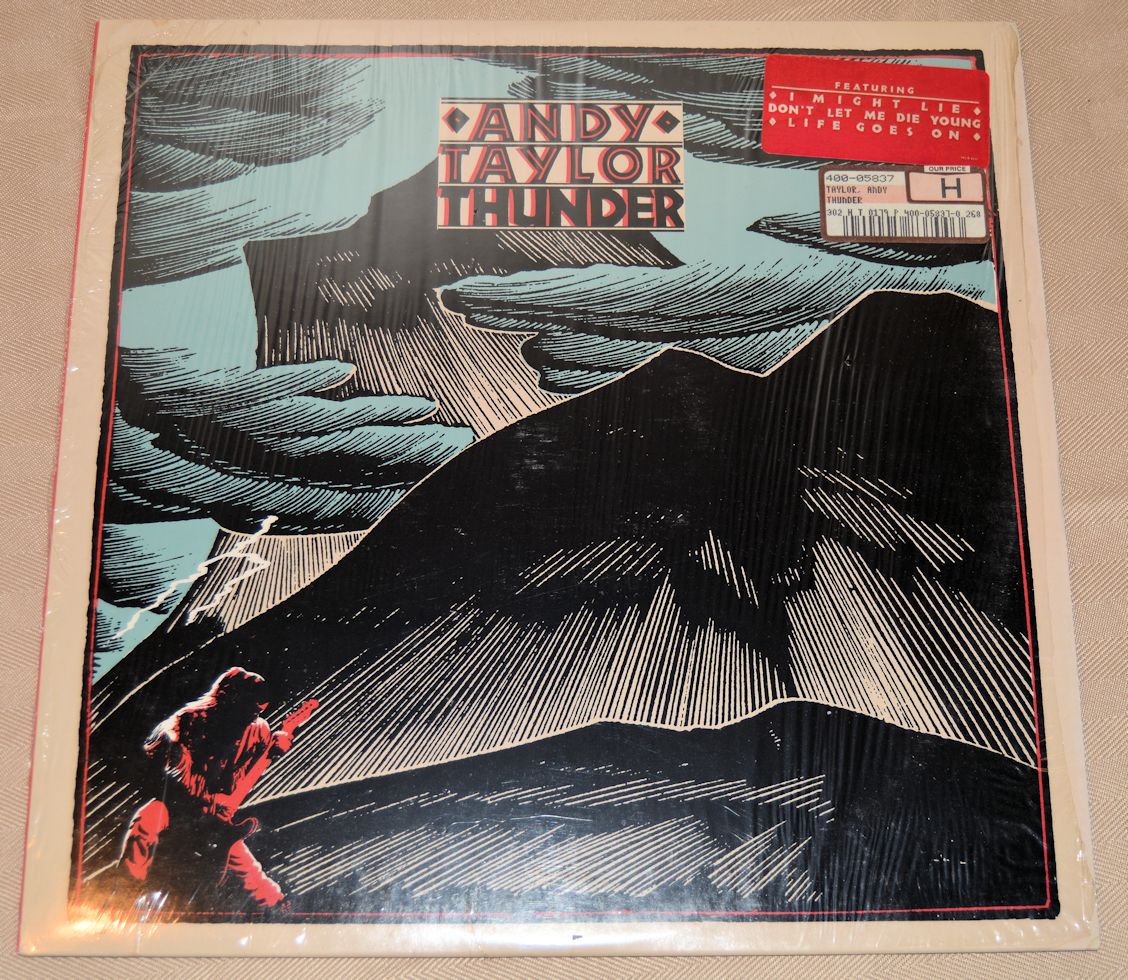Taylor, Andy - Thunder