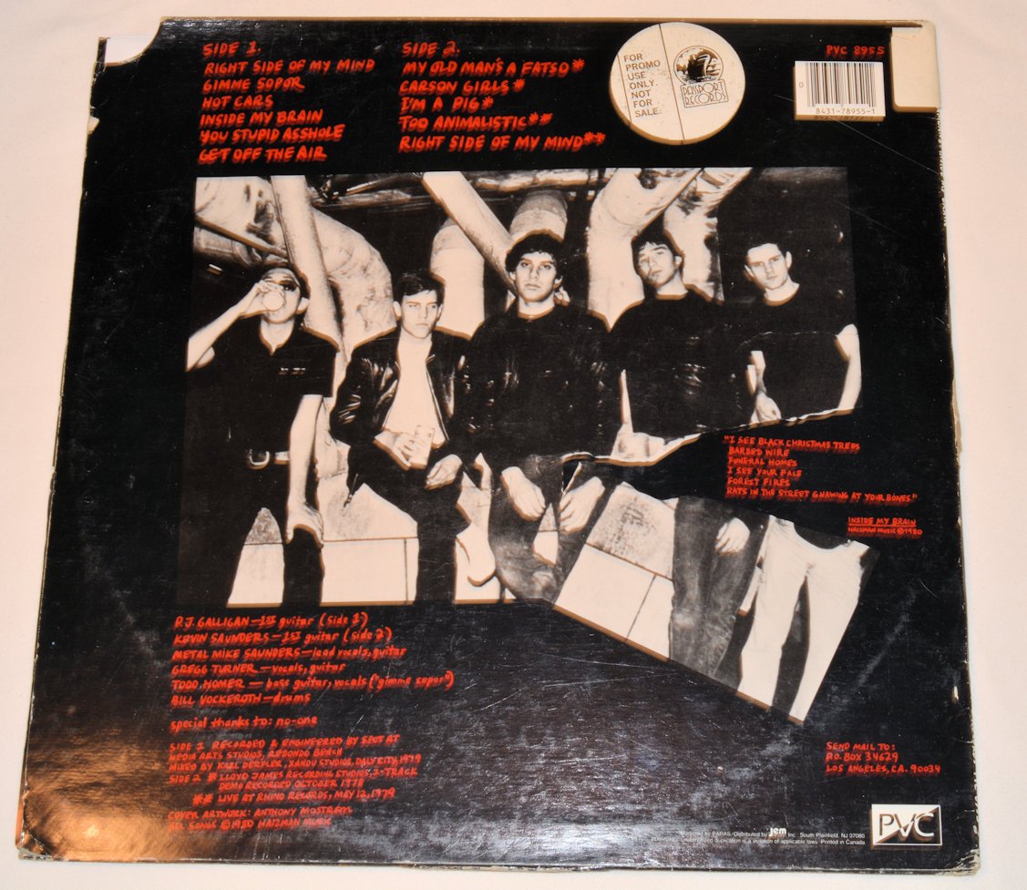 Angry Samoans - Inside My Brain