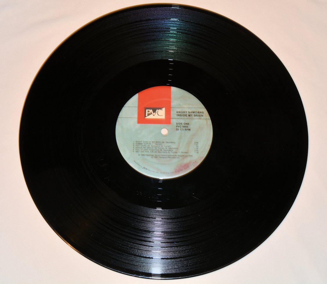 Angry Samoans - Inside My Brain