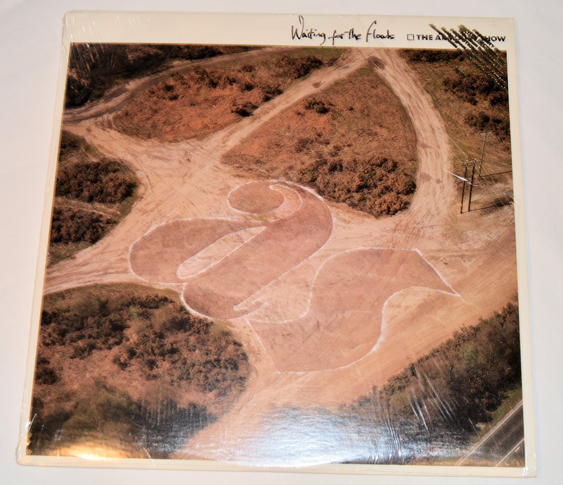 Armoury Show, The - Waiting For The Floods