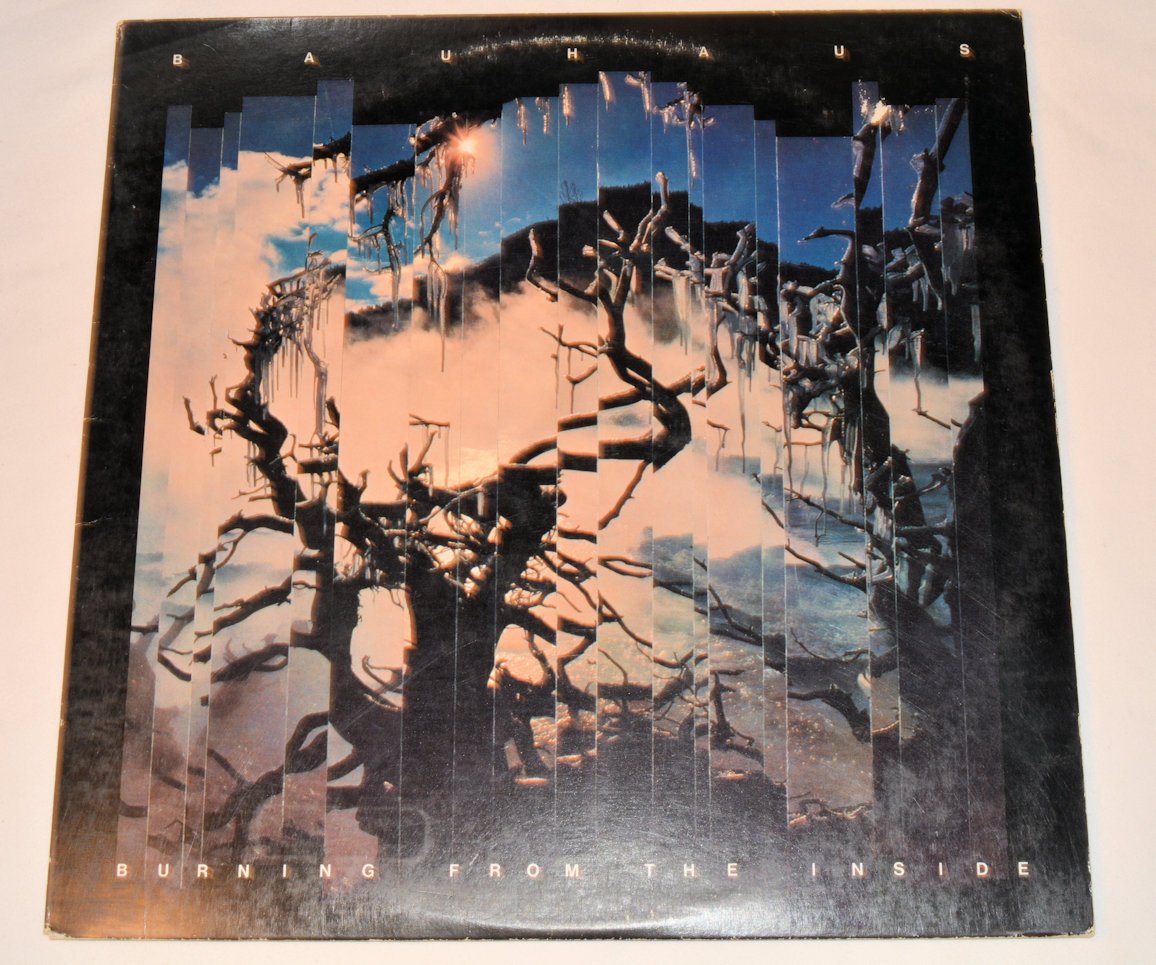 Bauhaus - Burning From The Inside