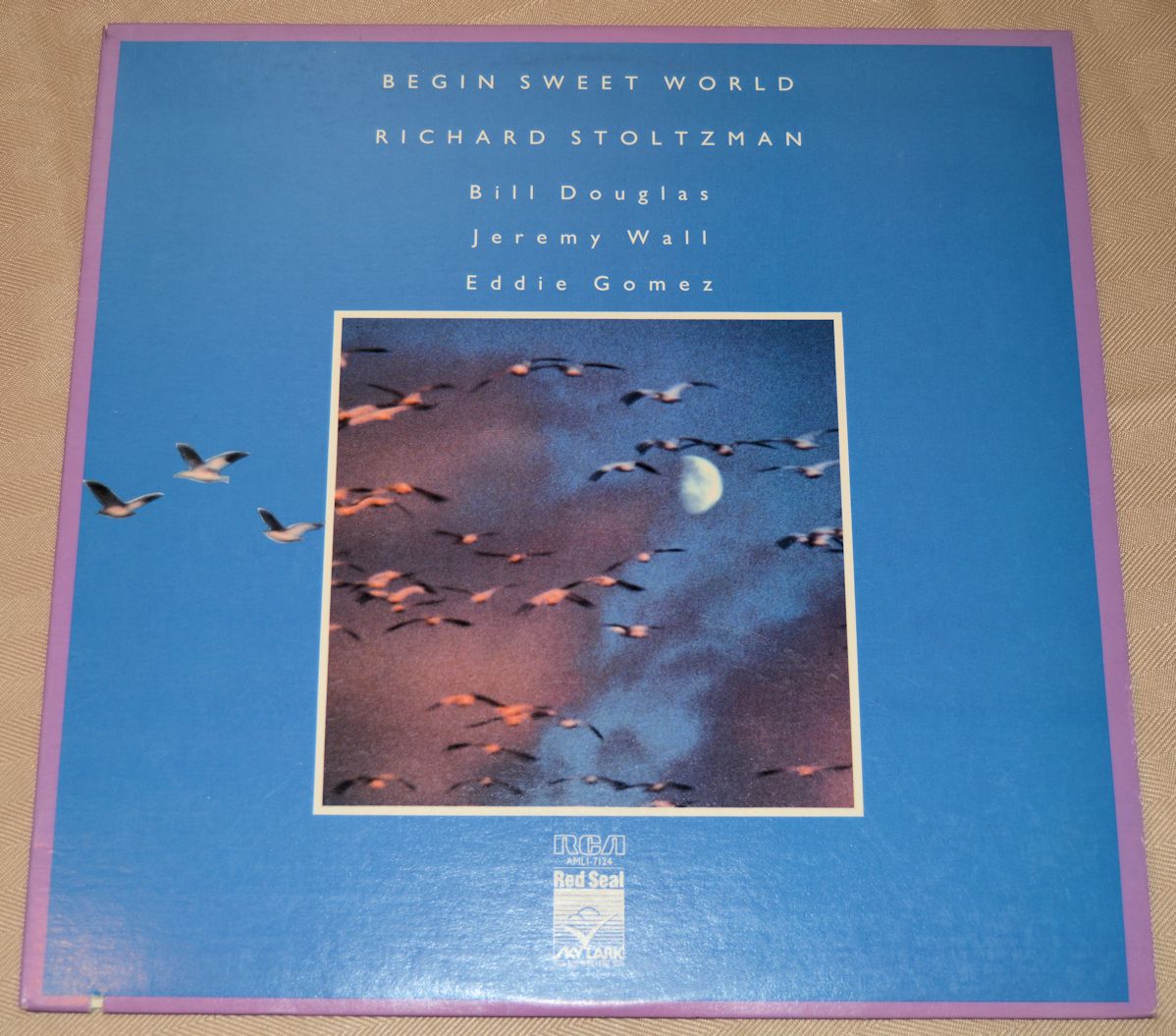 Stoltzman, Richard - Begin Sweet World