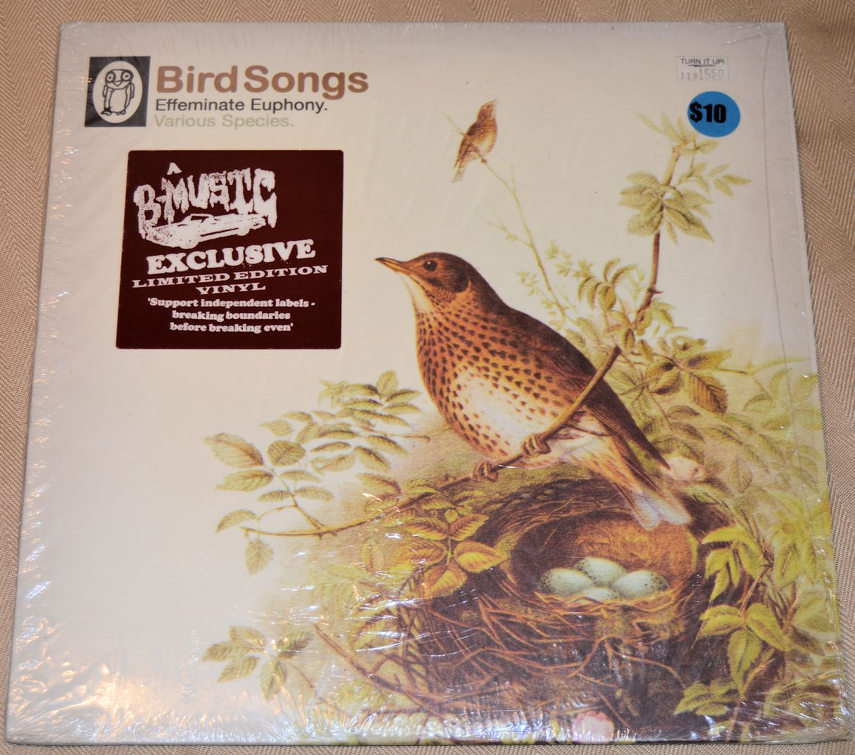 Various - Bird Songs