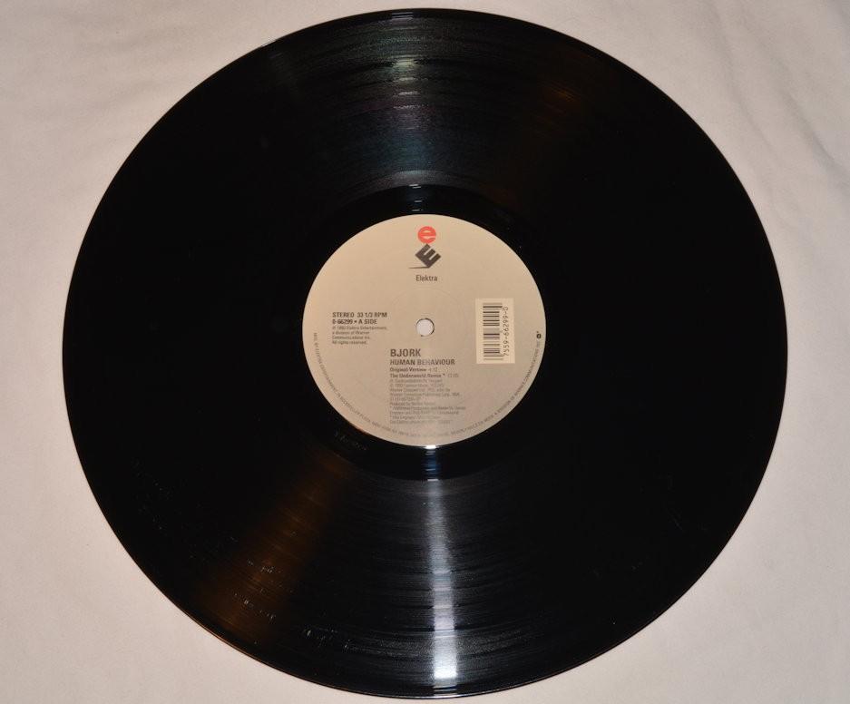 Bjork - Human Behaviour