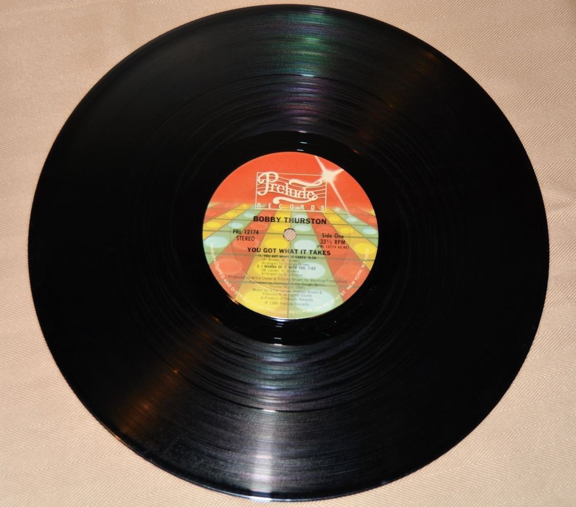 Thurston, Bobby - You Got What It Takes