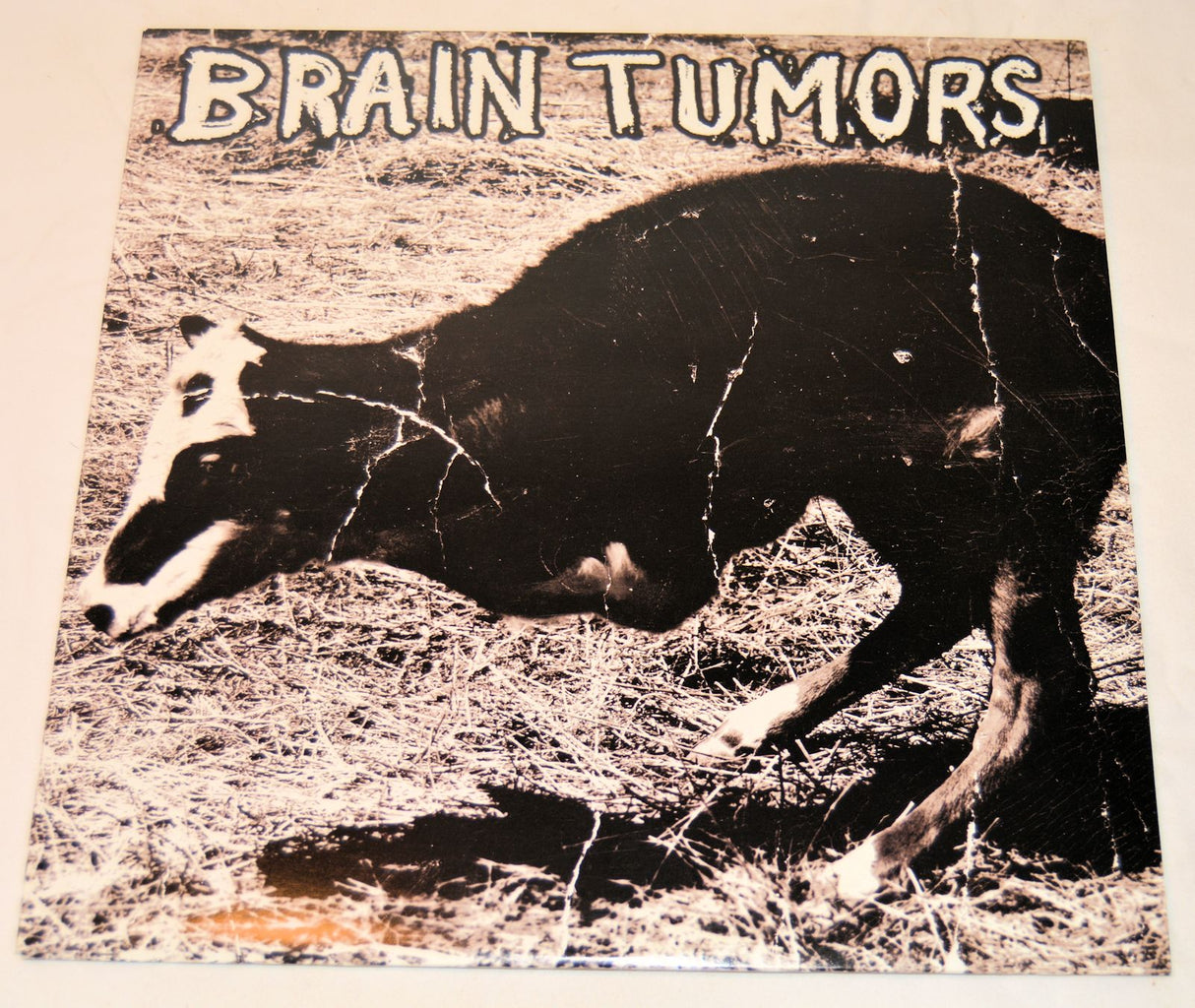 Brain Tumors - Brain Tumors