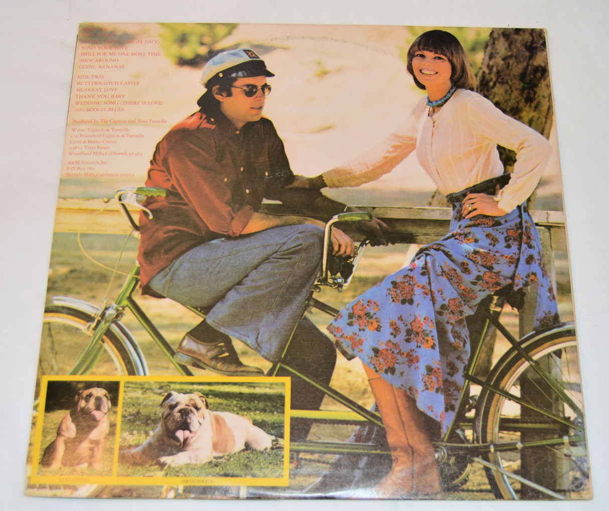 Captain & Tennille - Song Of Joy