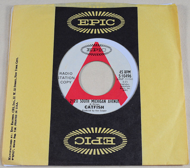 Catfish – 2120 South Michigan Avenue