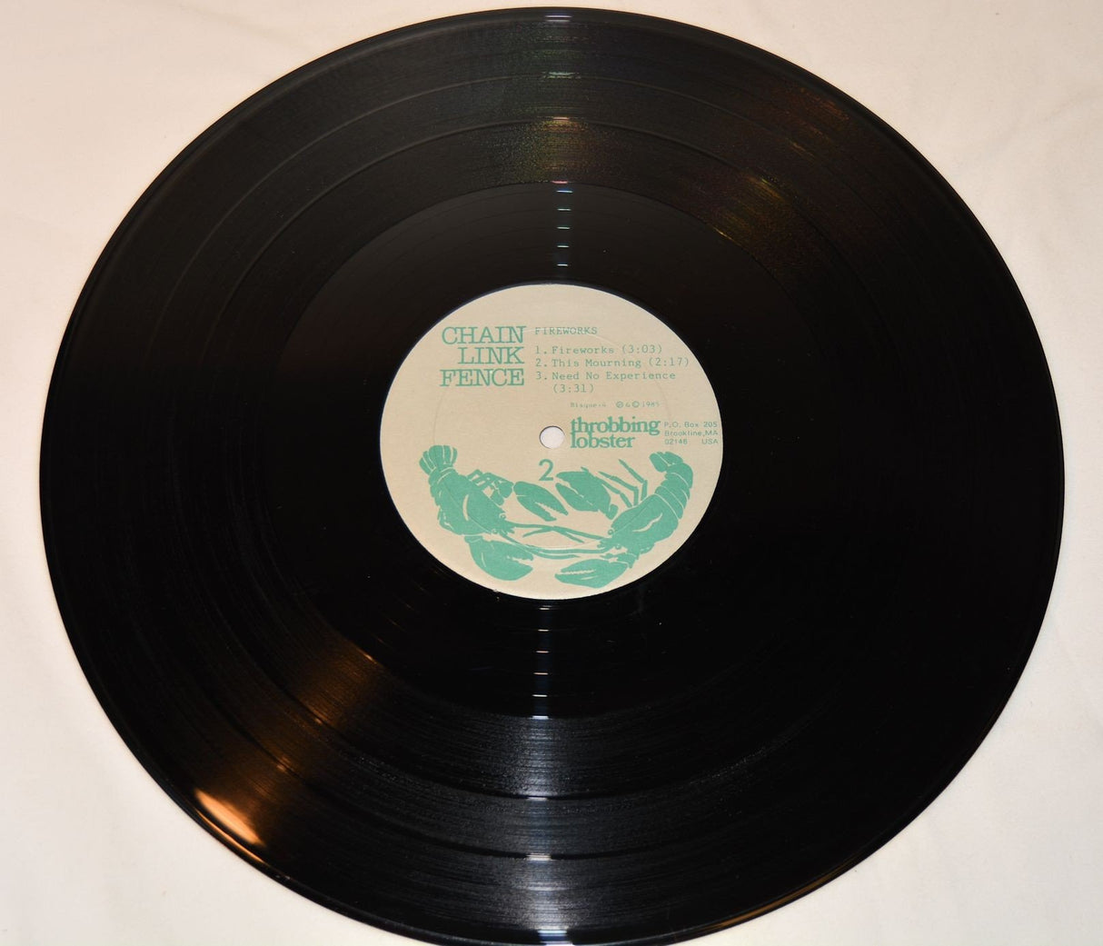 Chain Link Fence - Fireworks