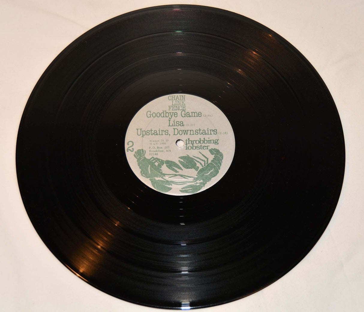 Chain Link Fence - Positive