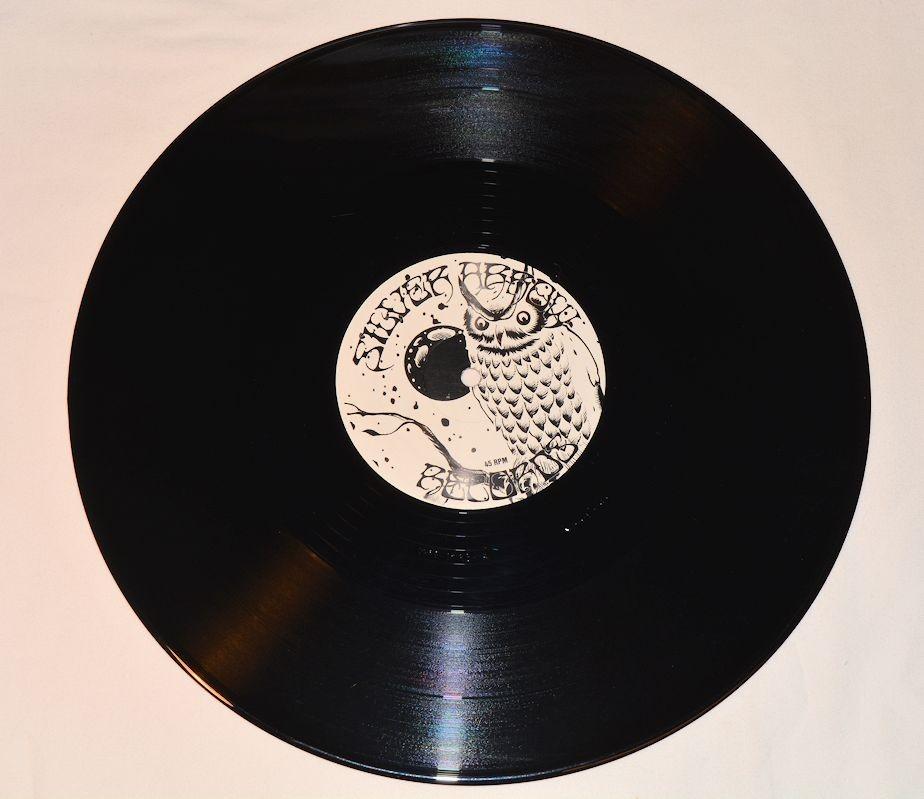 Robinson, Chris - Try Rock N Roll