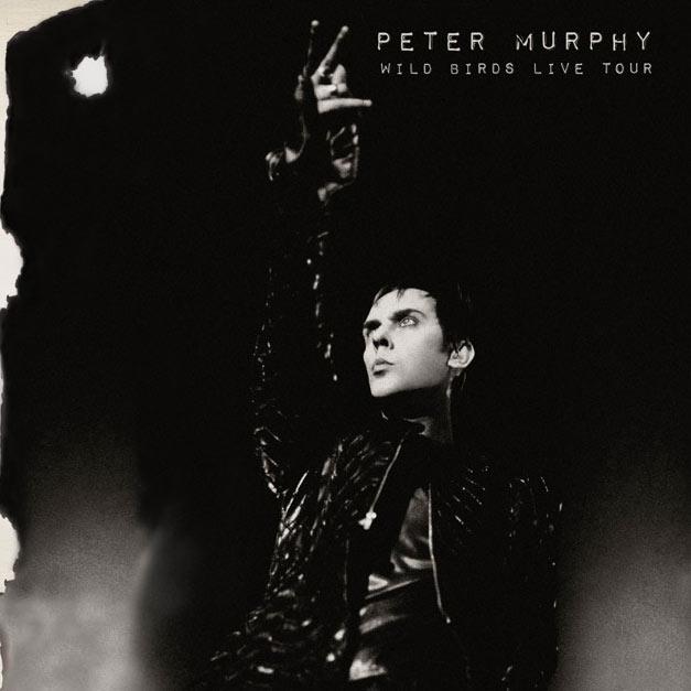 Murphy, Peter - Wild Birds Live
