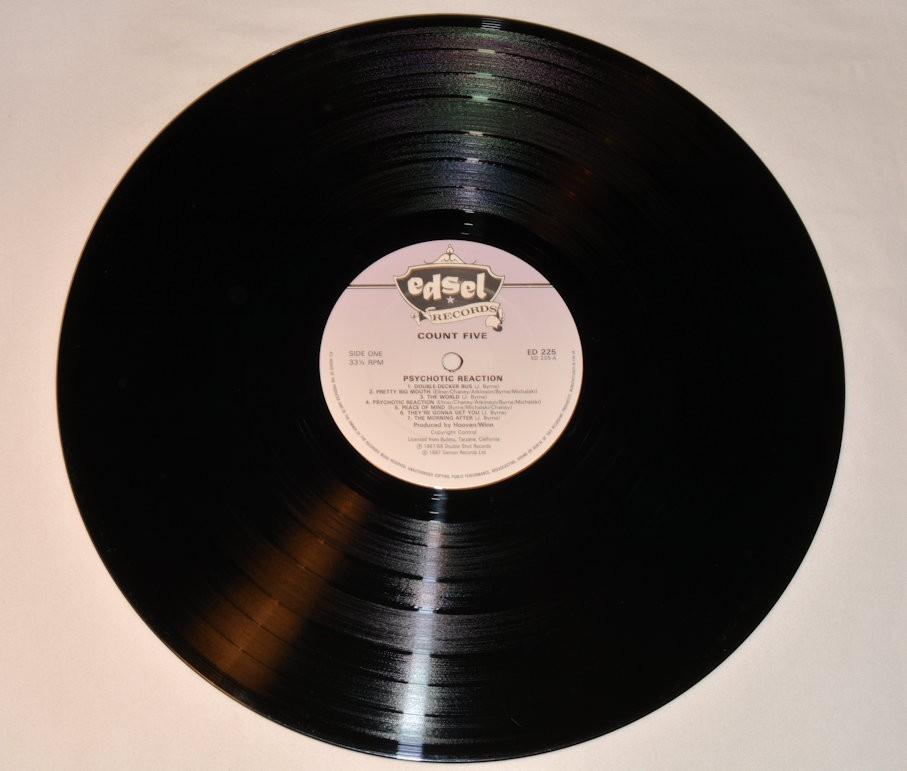 Count Five - Psychotic Reaction