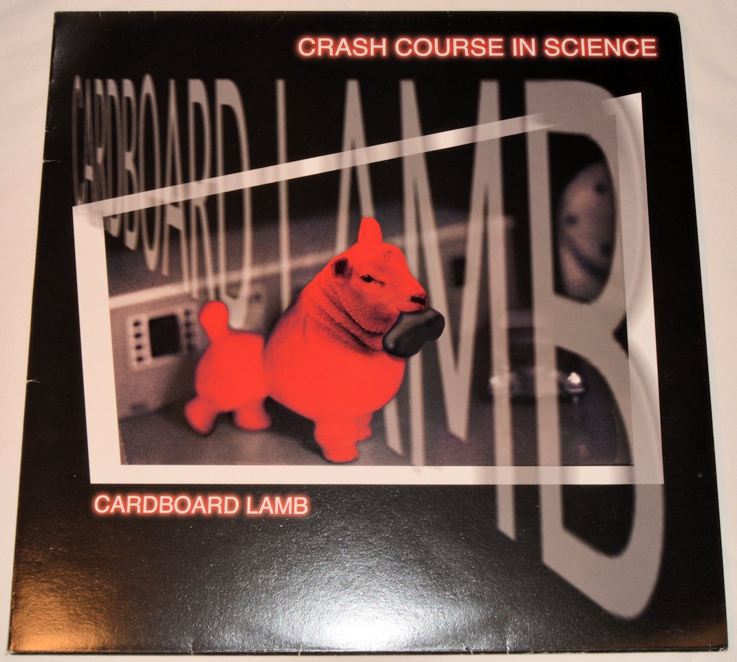 Crash Course In Science - Cardboard Lamb