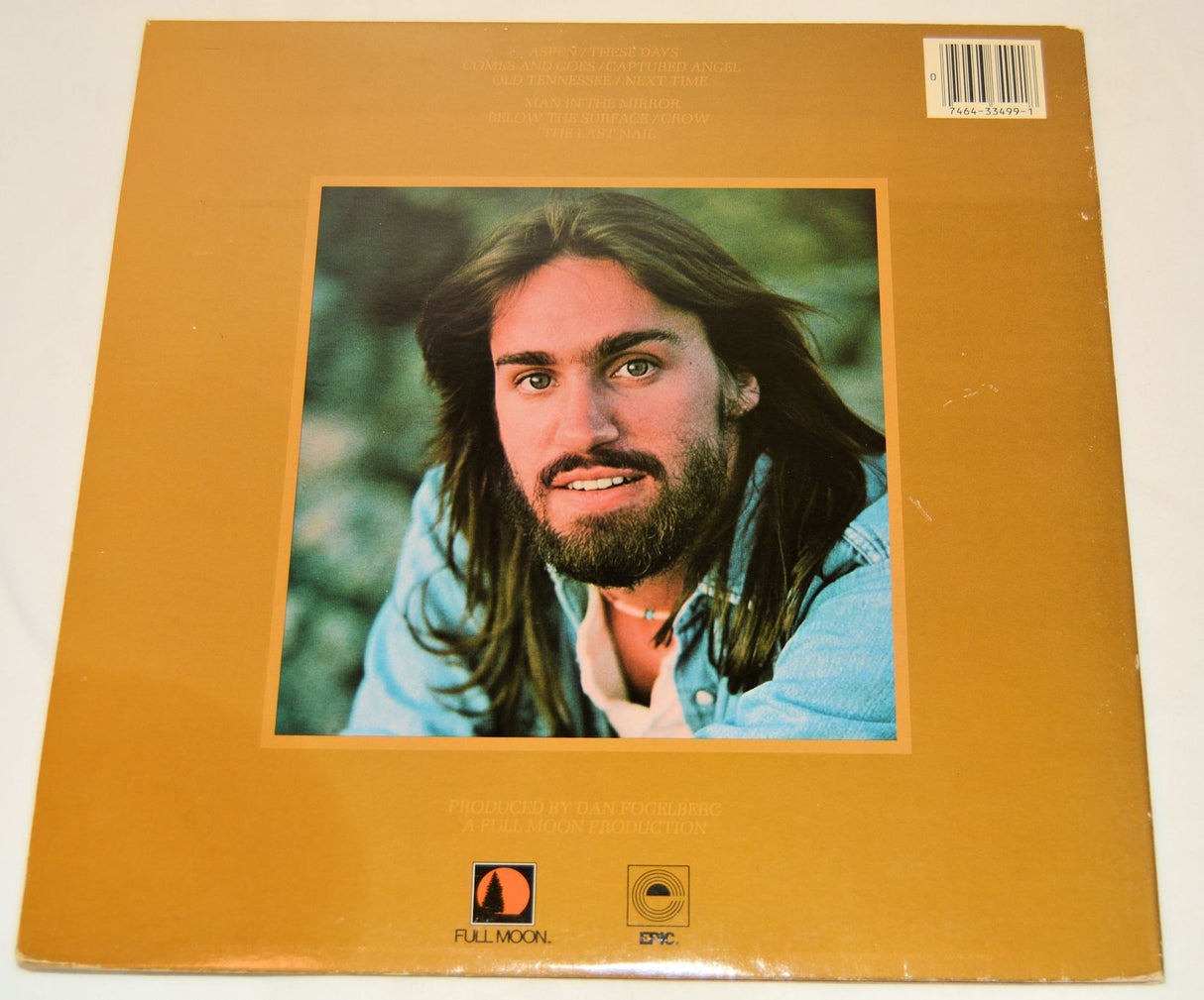 Fogelberg, Dan - Captured Angel