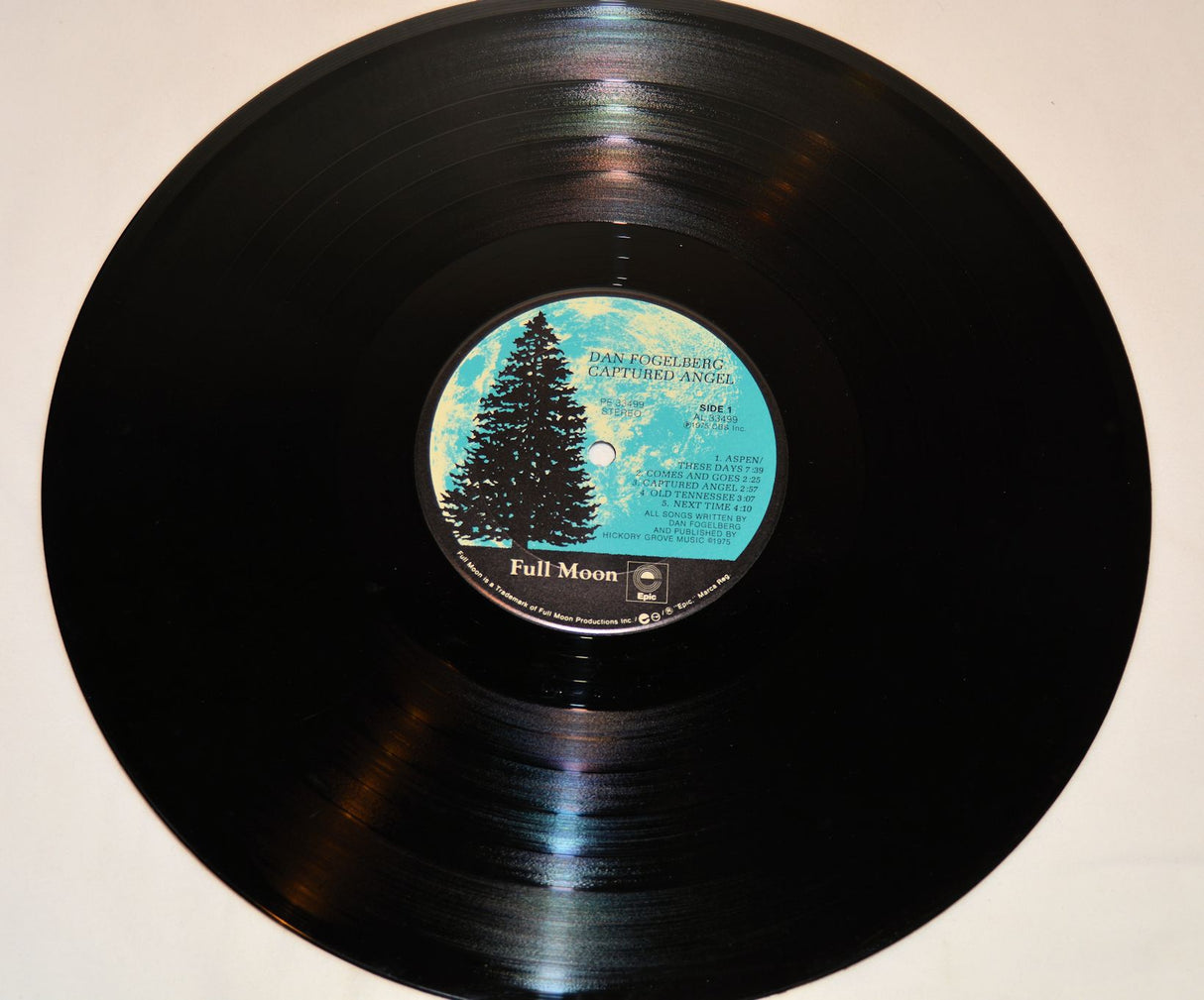 Fogelberg, Dan - Captured Angel