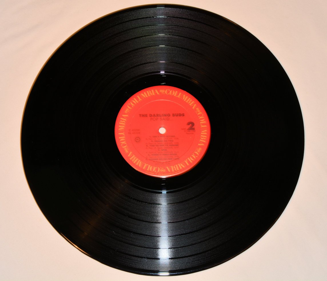 Darling Buds, The - Pop Said...