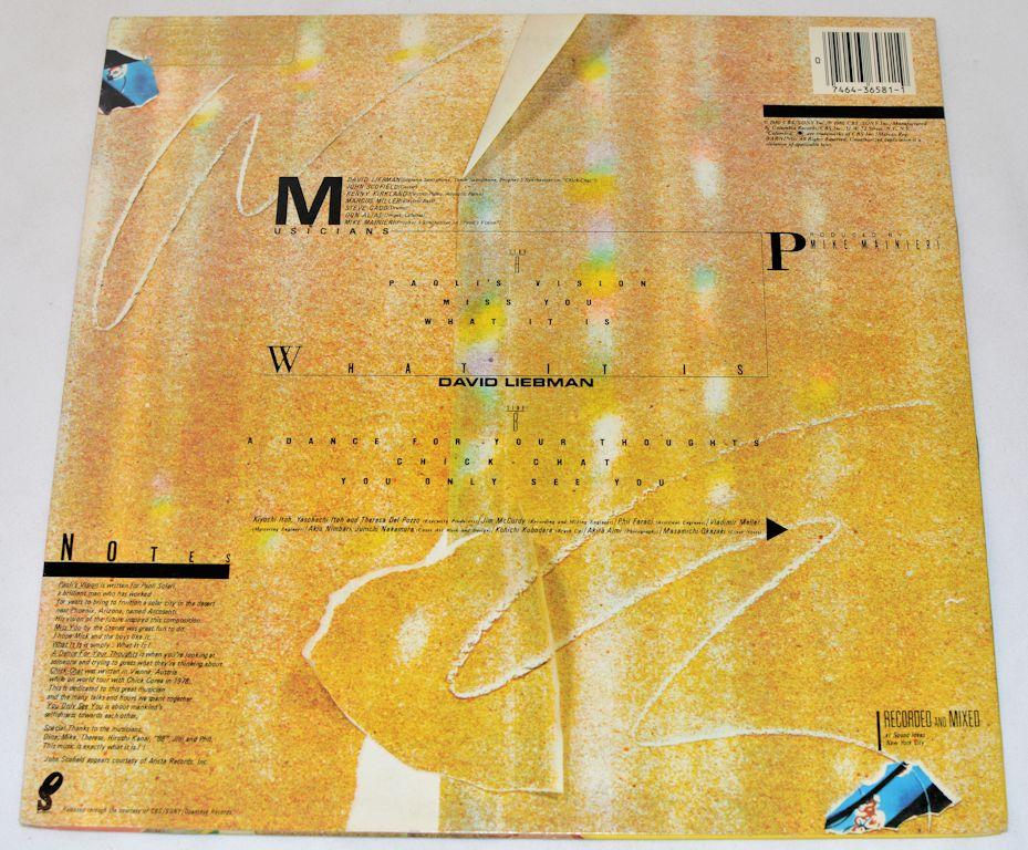 Liebman, David - What It Is