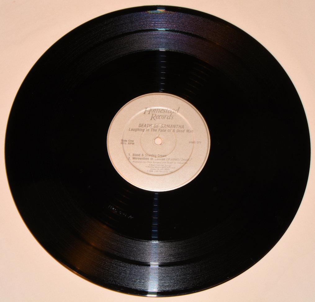 Death Of Samantha - Laughing In The Face Of A Dead Man