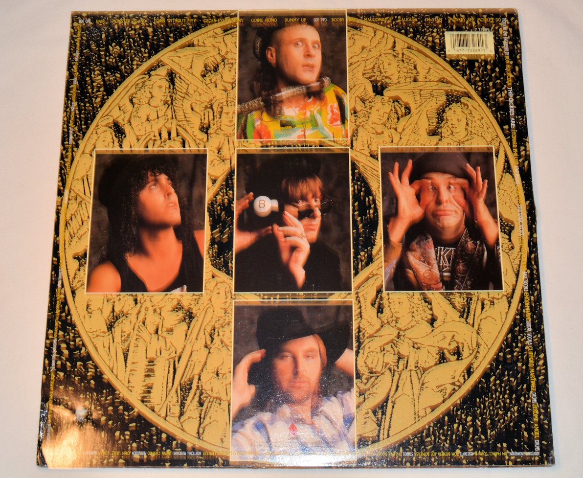 Dickies, The - Second Coming