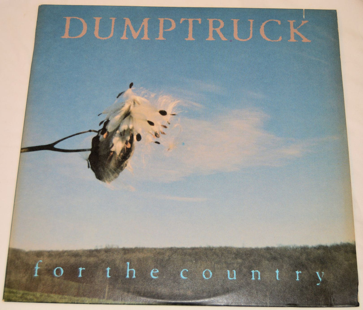 Dumptruck - For The Country