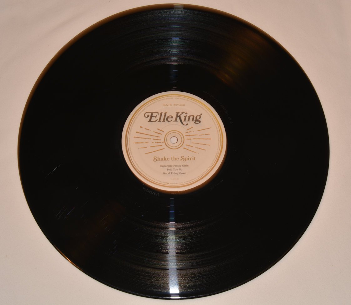 King, Elle - Shake The Spirit