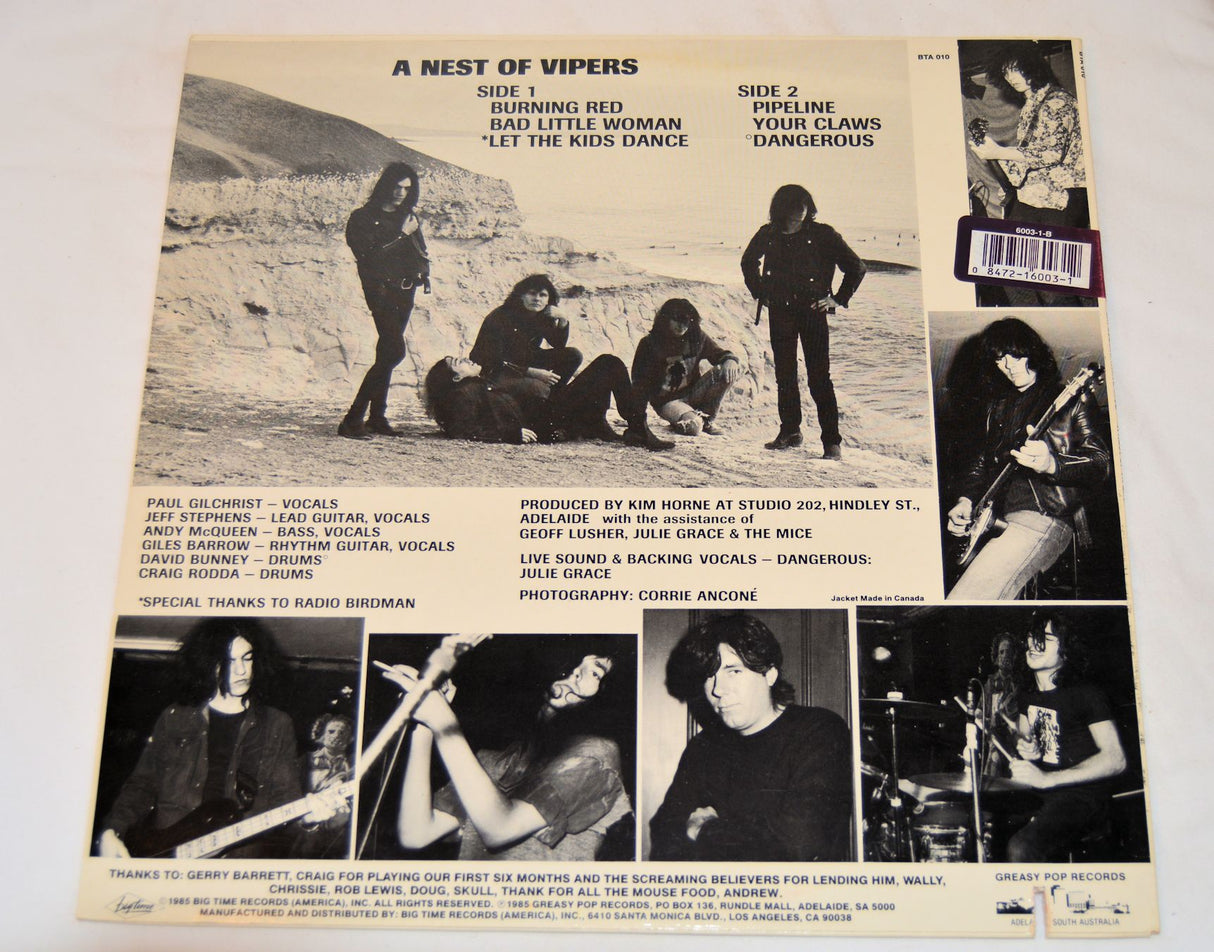 Exploding White Mice - In A Nest Of Vipers