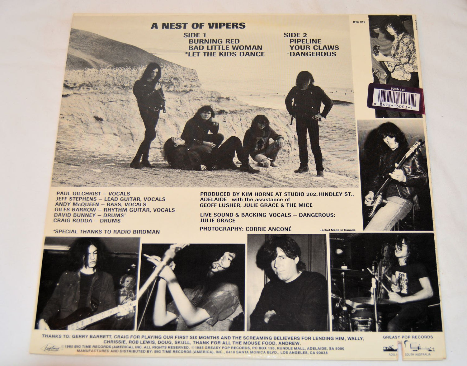 Exploding White Mice - In A Nest Of Vipers