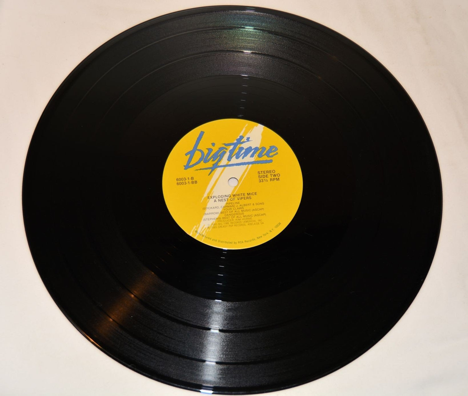 Exploding White Mice - In A Nest Of Vipers