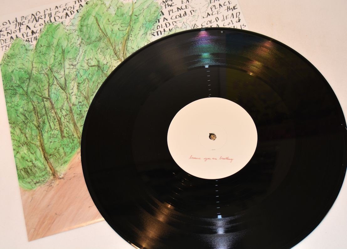 Explosions In the Sky - Earth Is Not