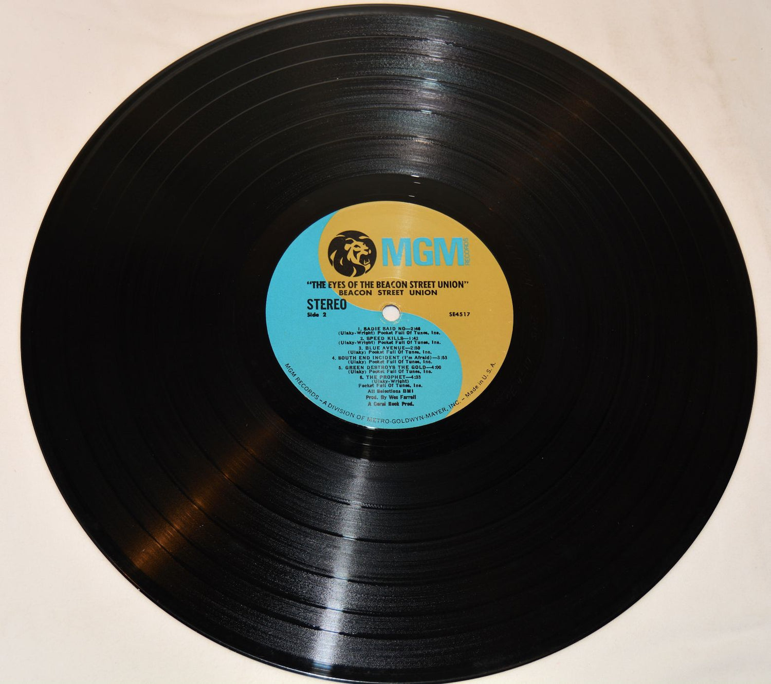 Eyes Of Beacon Street Union - The Eyes Of The Beacon Street Union