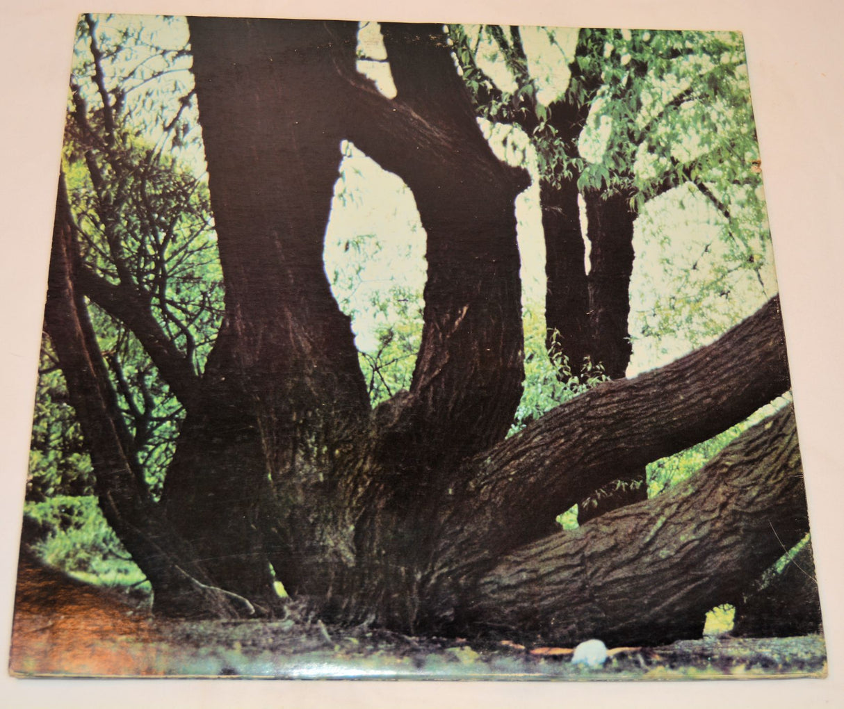 Fat Mattress - Fat Mattress