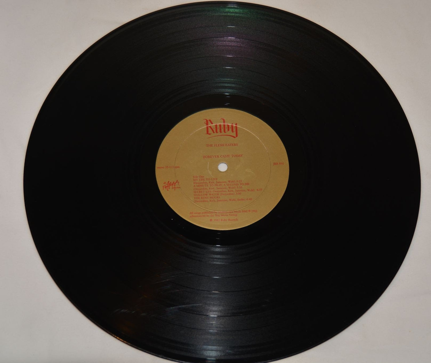 Flesh Eaters, The - Forever Came Today