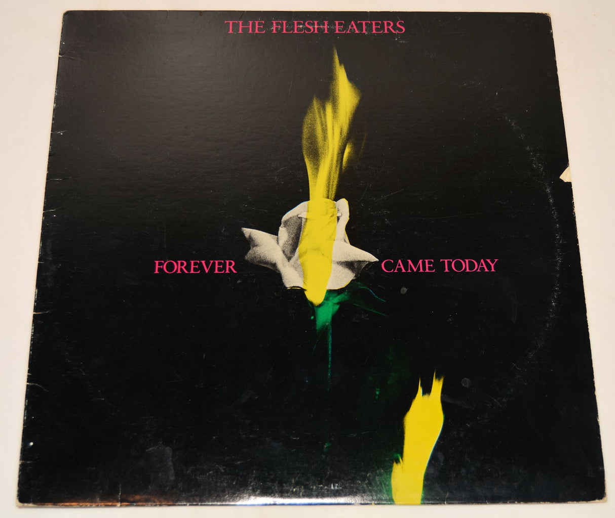 Flesh Eaters, The - Forever Came Today