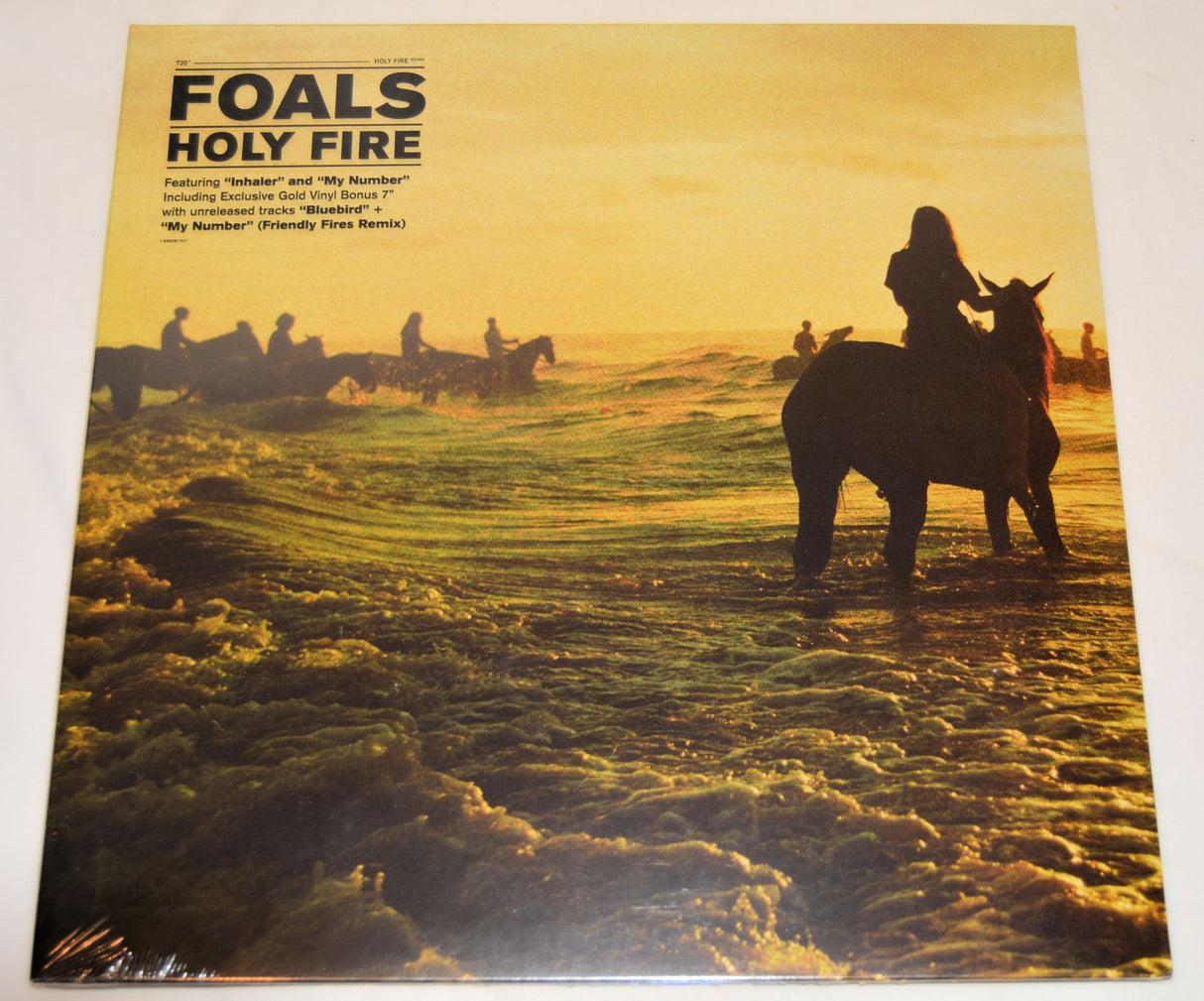 Foals - Holy Fire