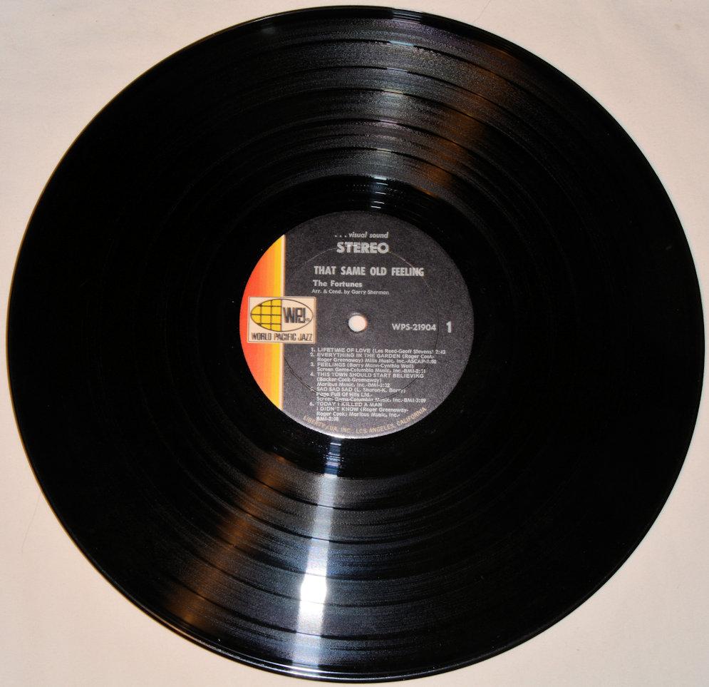 Fortunes, The - That Same Old Feeling