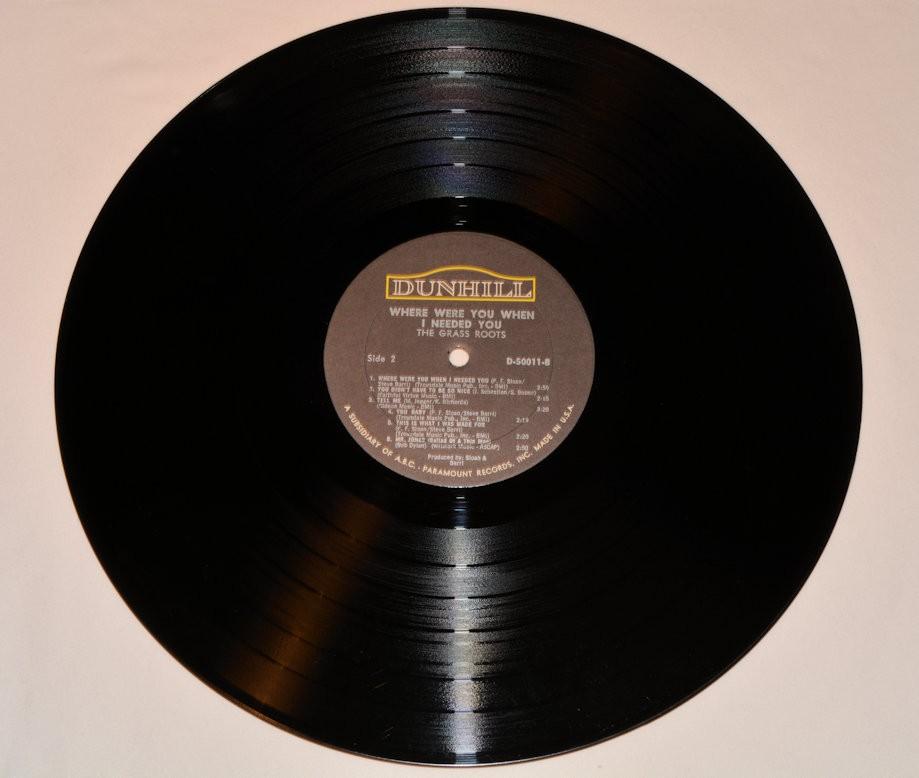 Grass Roots - Where Were You When I Needed You