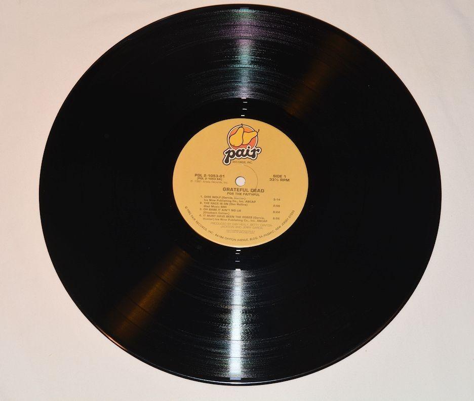 Grateful Dead - For The Faithful