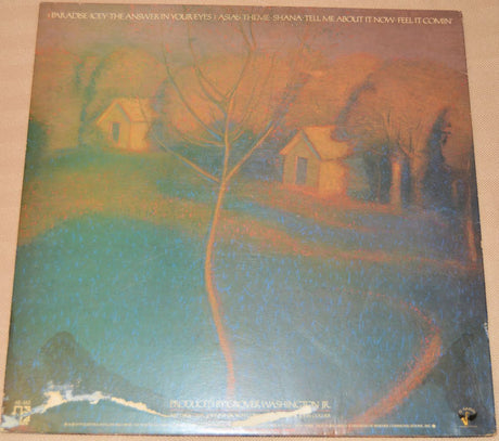 Washington, Grover Jr. - Paradise
