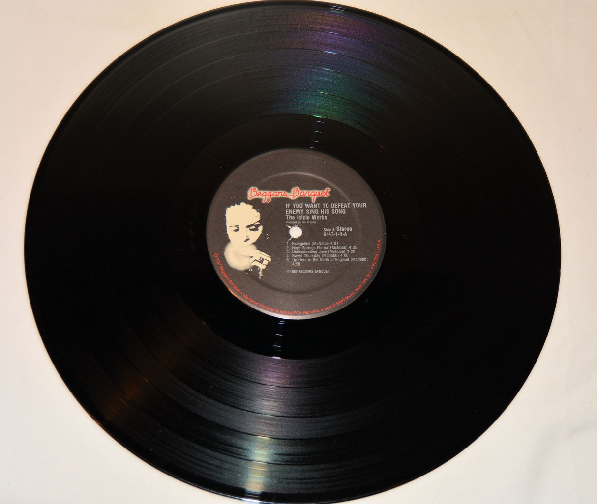 Icicle Works - If You Want To Defeat Your Enemy