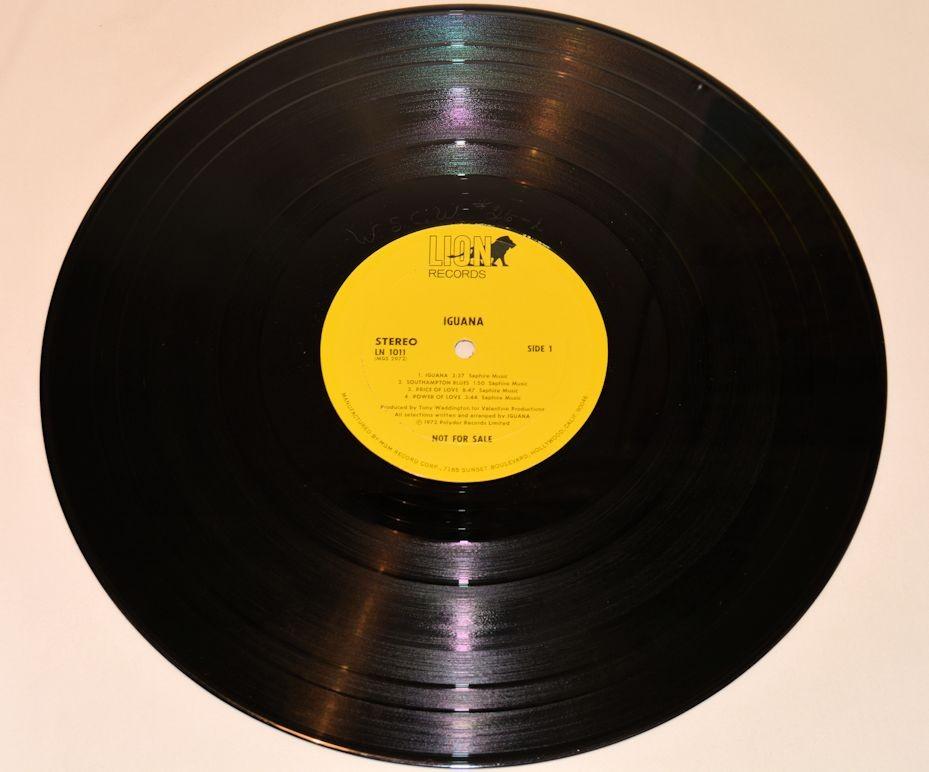 Iguana - Iguana